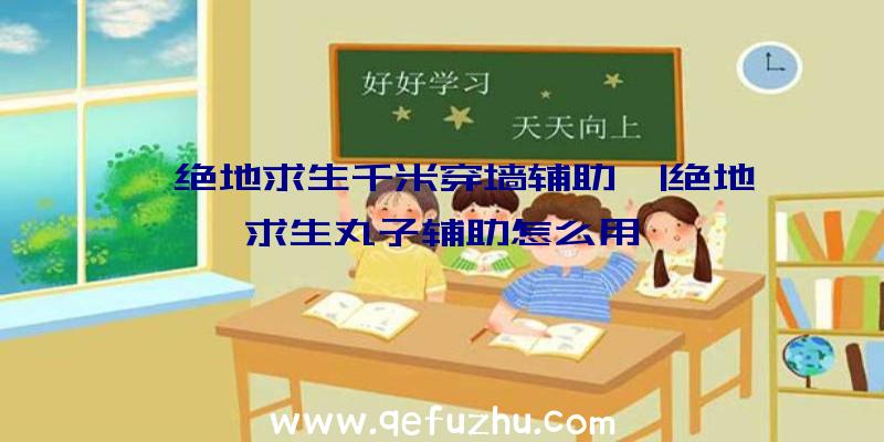 「绝地求生千米穿墙辅助」|绝地求生丸子辅助怎么用